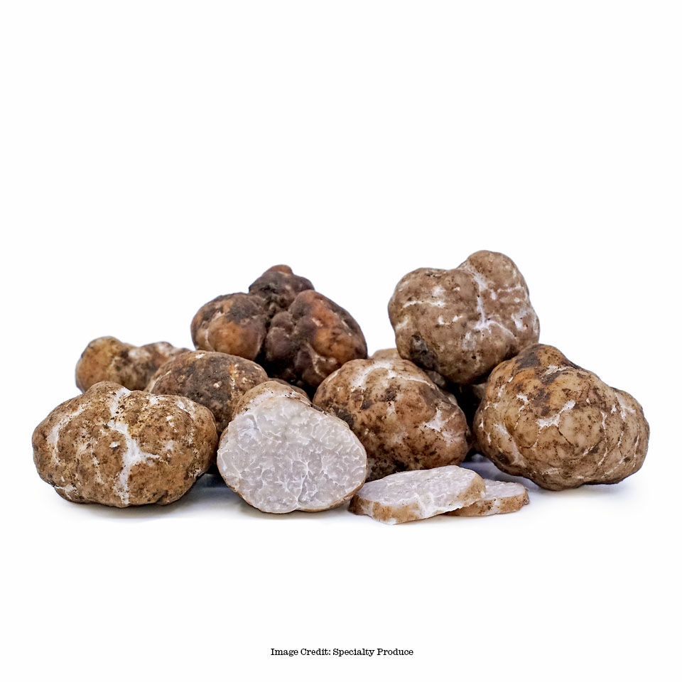 Truffles, Oregon White Foraged Wholesale